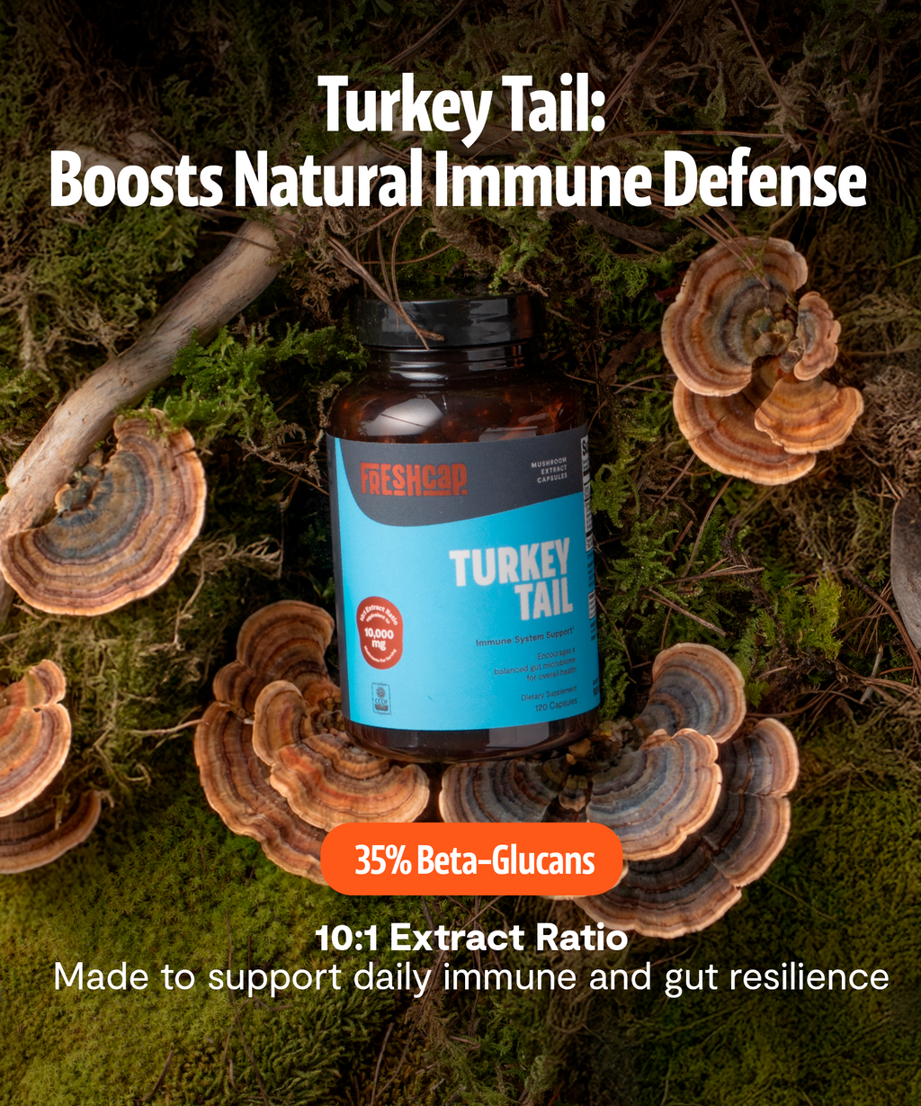 Organic Turkey Tail Capsules
