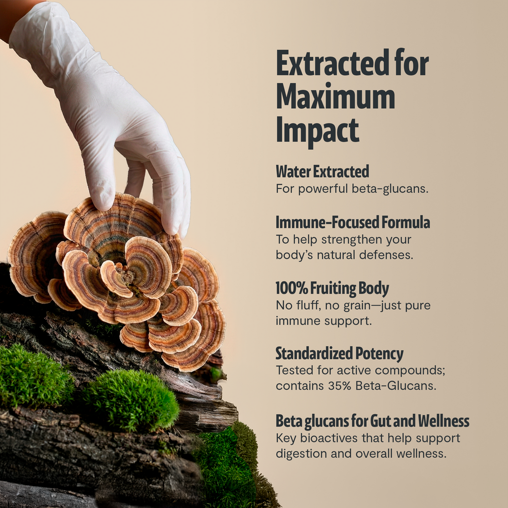 Organic Turkey Tail Capsules