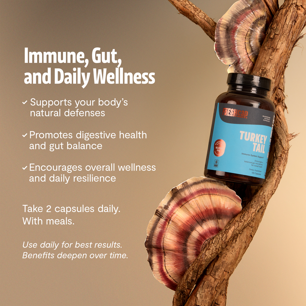 Organic Turkey Tail Capsules