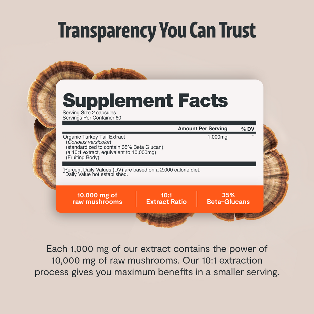 Organic Turkey Tail Capsules
