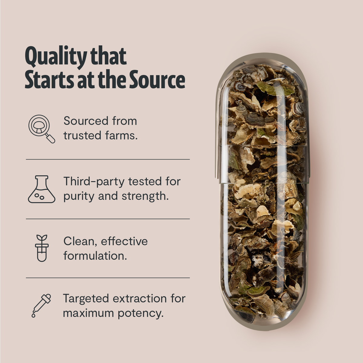 Organic Turkey Tail Capsules