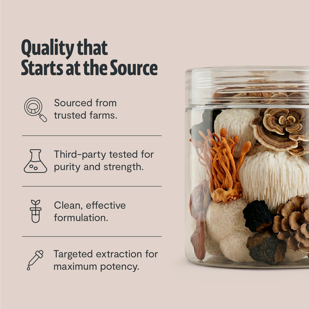 Six Mushroom Daily Blend