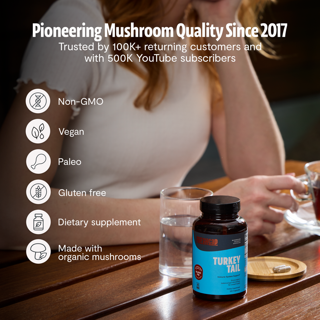 Organic Turkey Tail Capsules