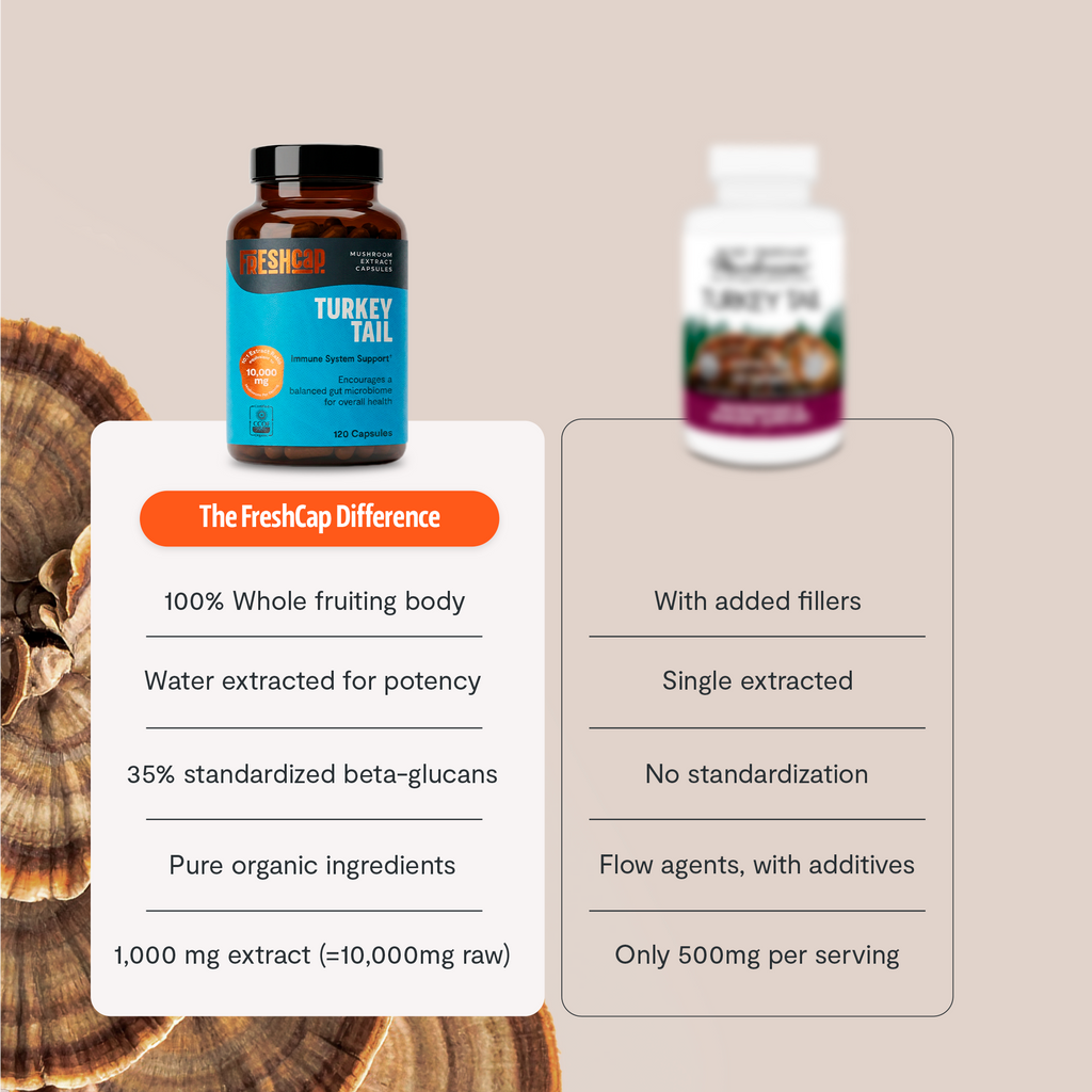Organic Turkey Tail Capsules