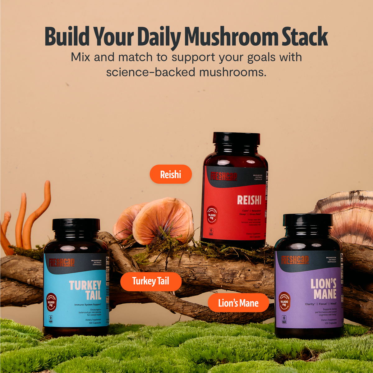 Organic Turkey Tail Capsules