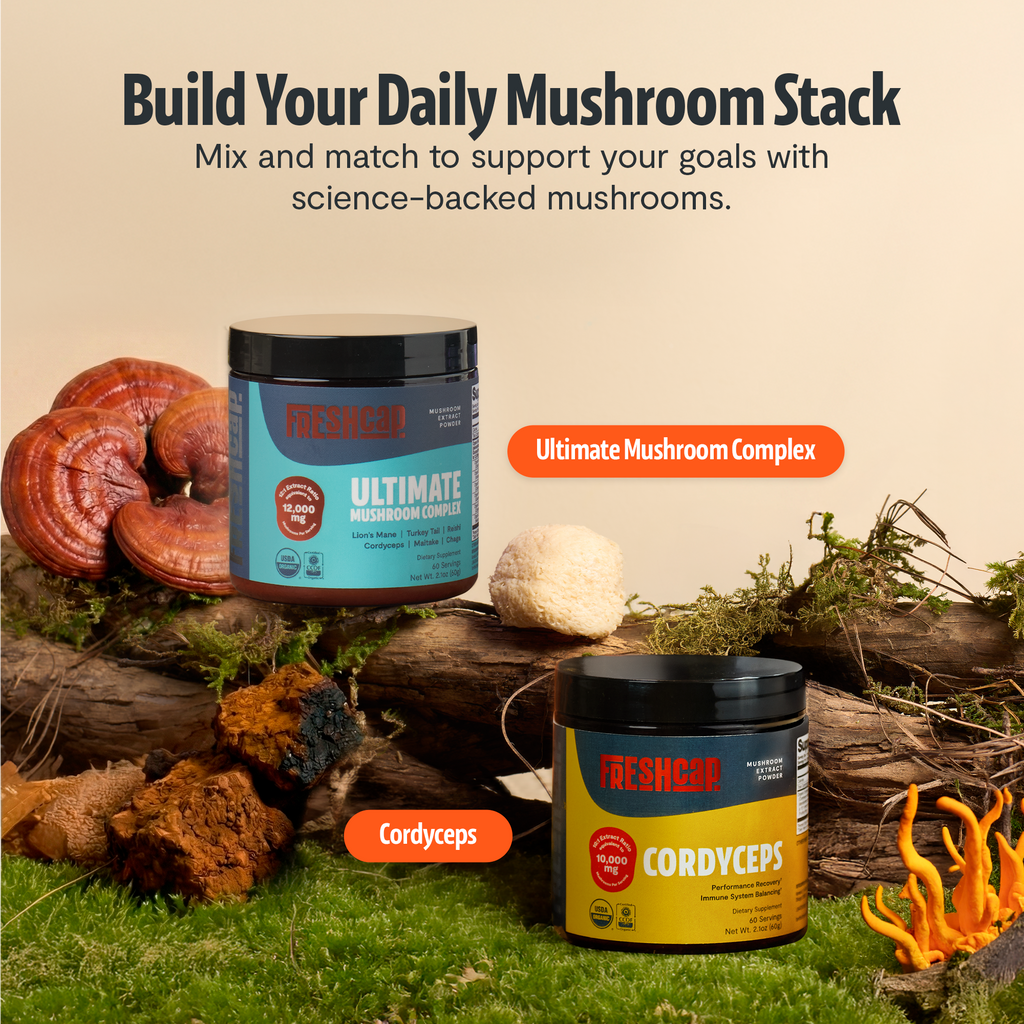 Six Mushroom Daily Blend