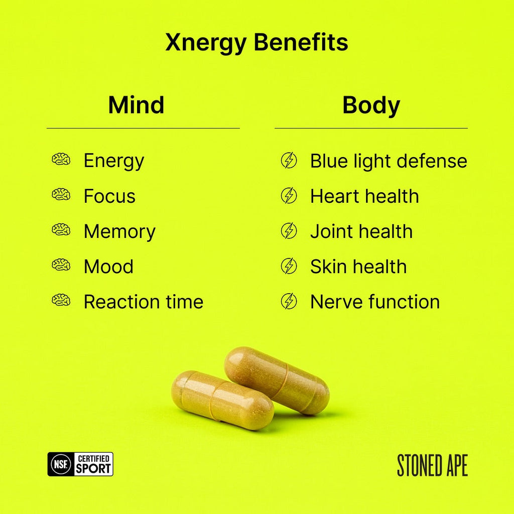 Xnergy A.M. Morning Nootropic