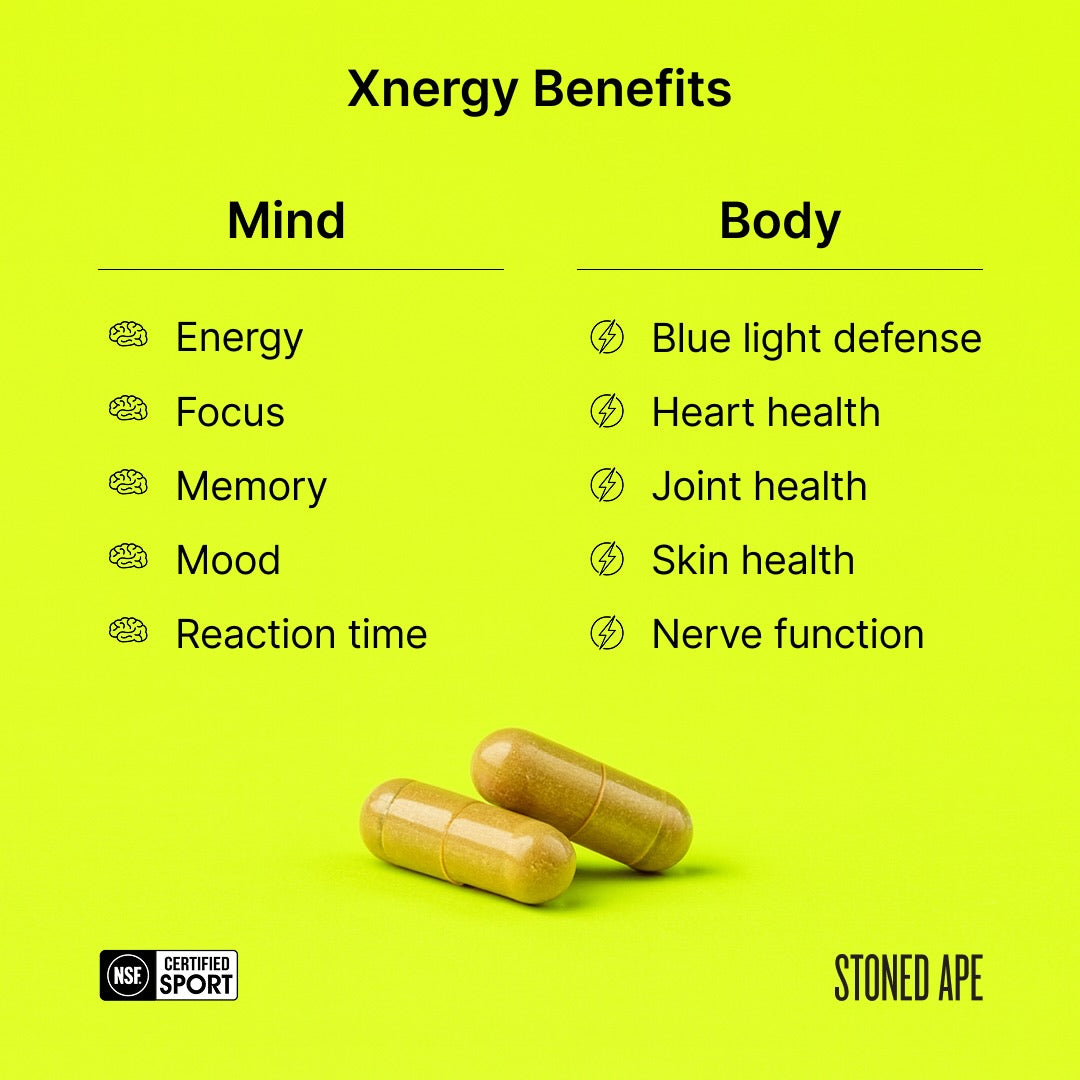 Xnergy A.M. Morning Nootropic