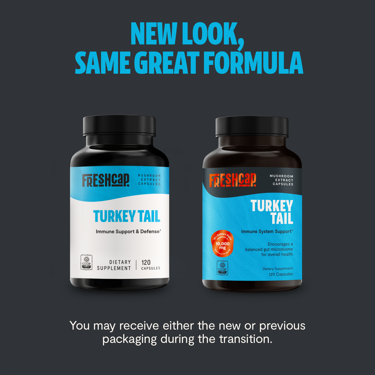 Organic Turkey Tail Capsules
