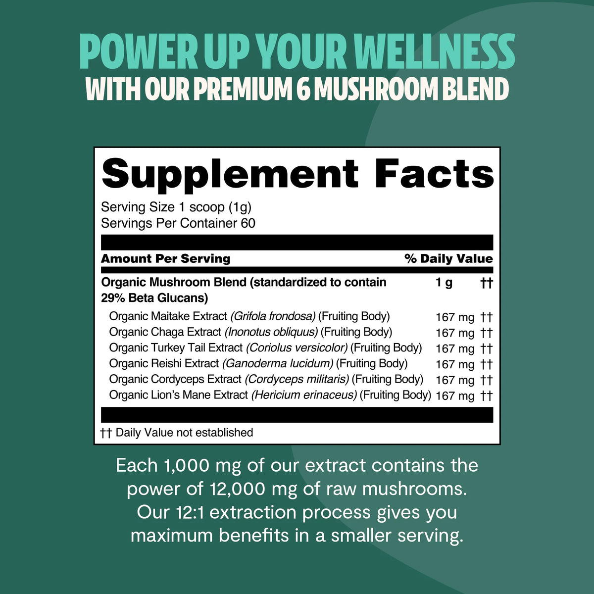 Six Mushroom Daily Blend