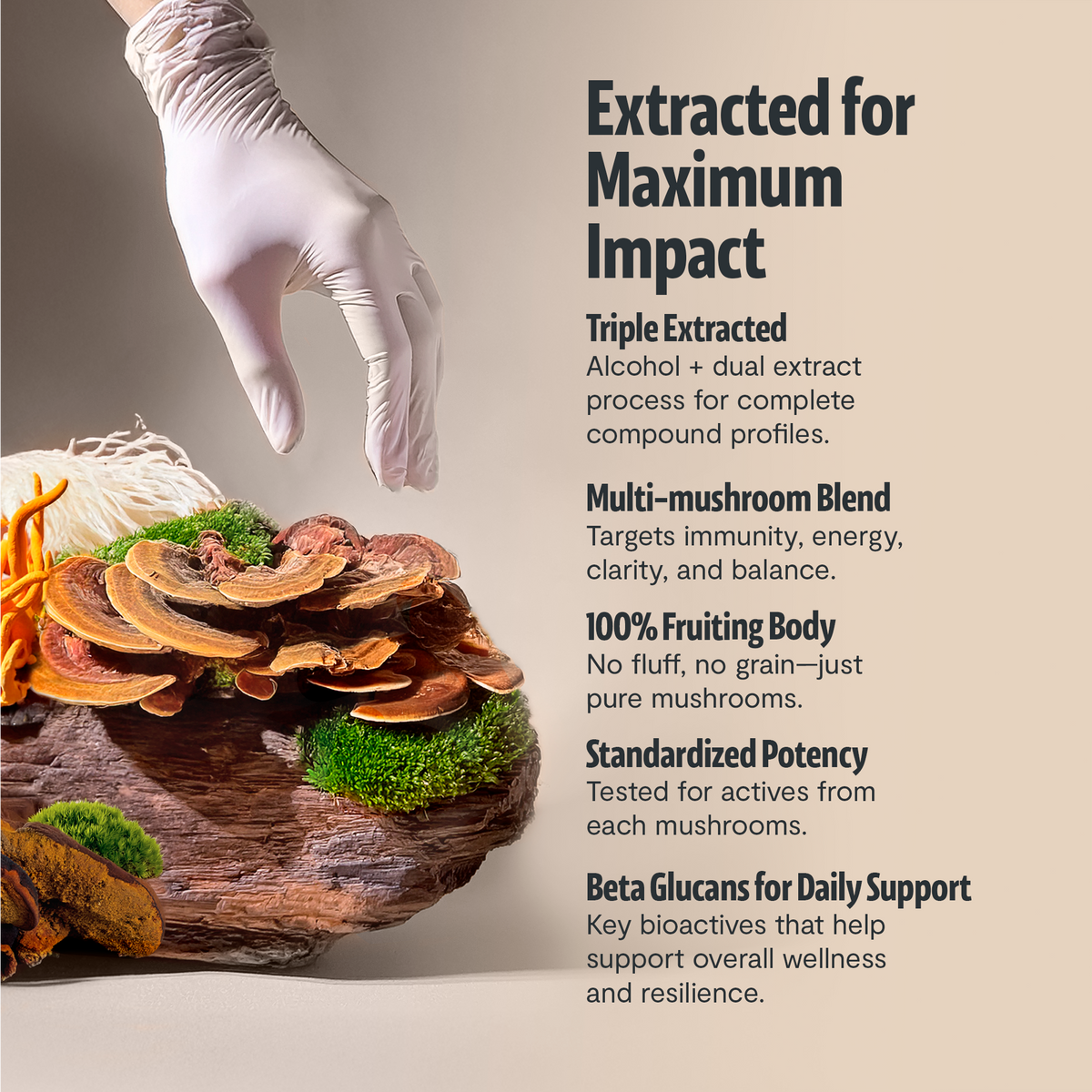 Organic Mushroom Complex Capsules