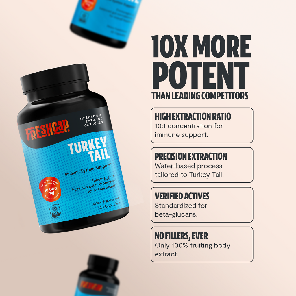 Organic Turkey Tail Capsules