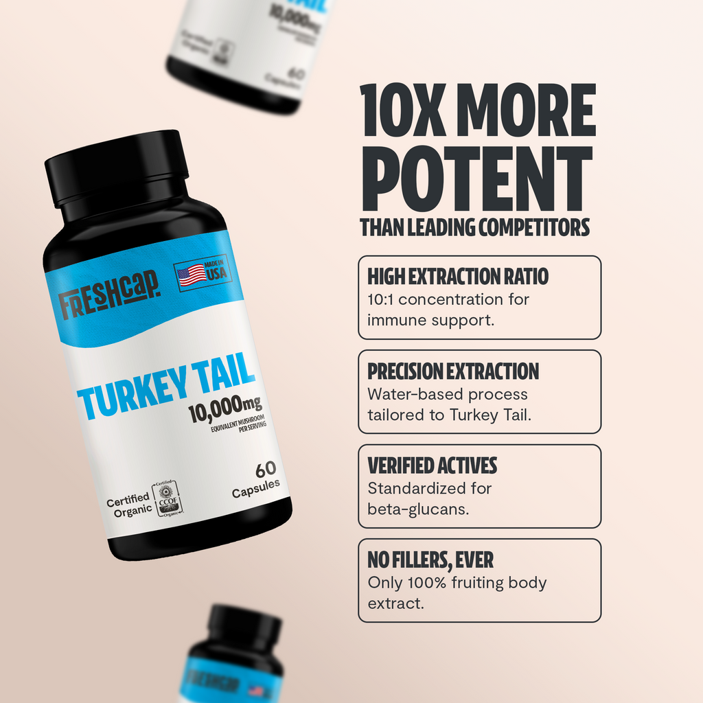 Organic Turkey Tail Capsules