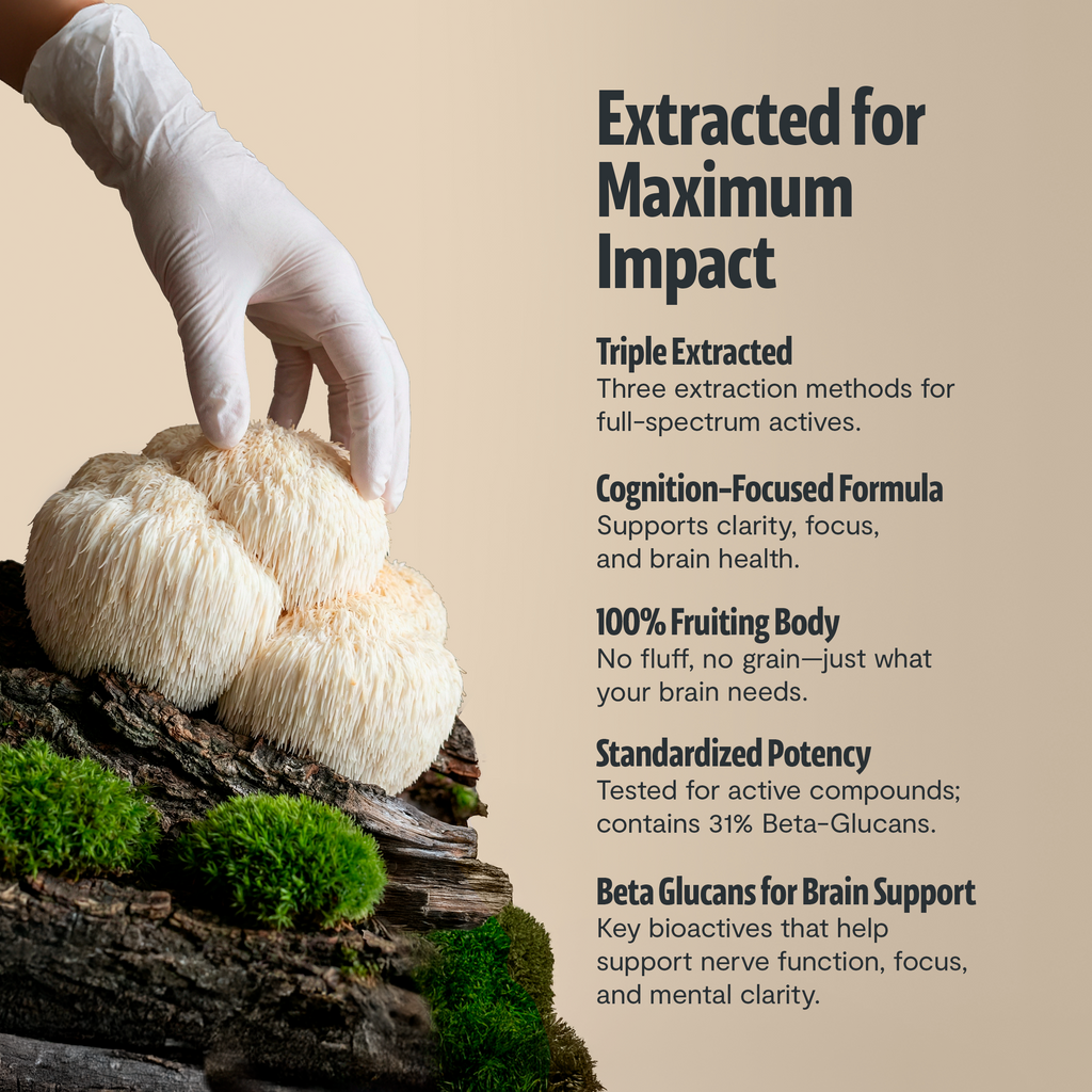 Organic Mushroom Complex Capsules