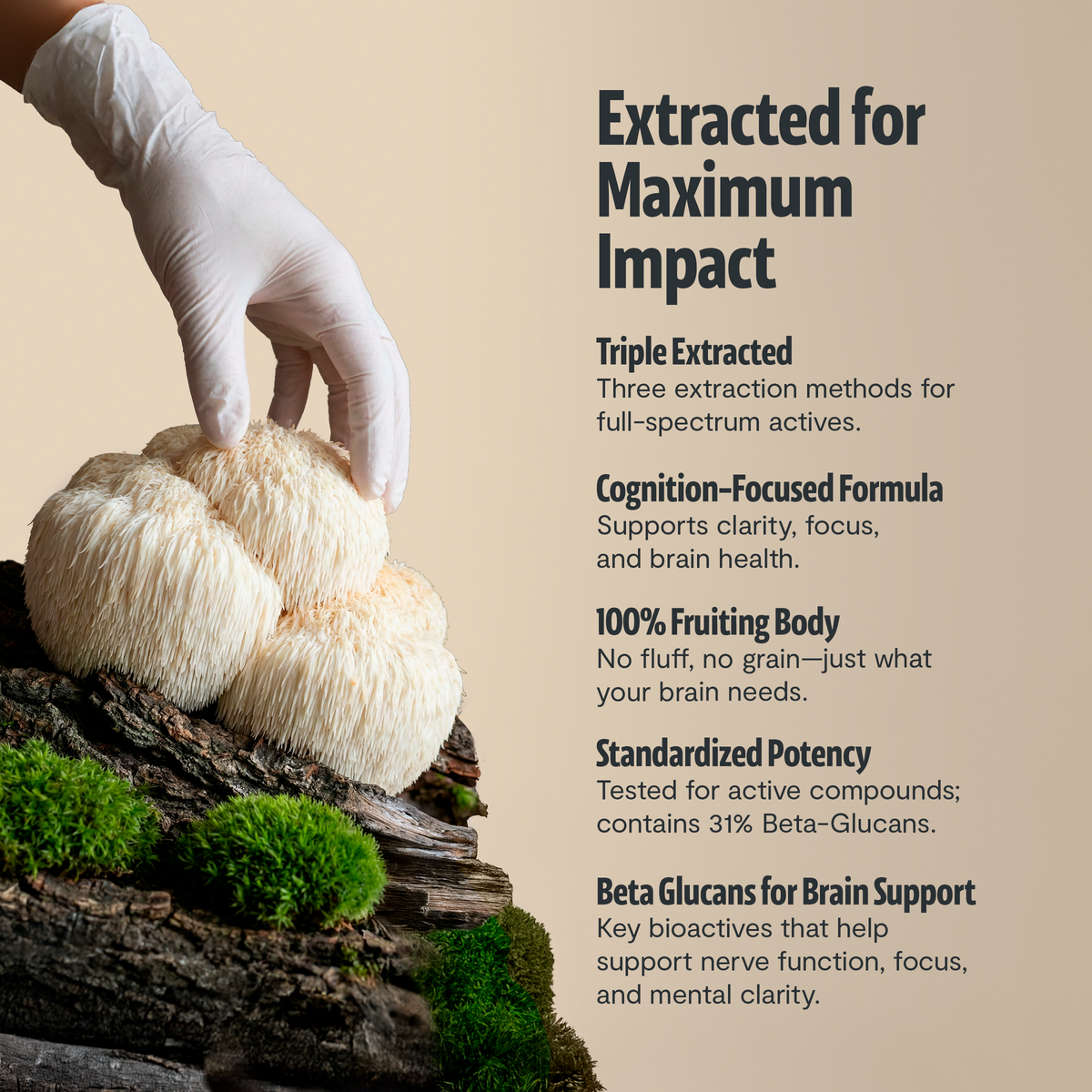 Organic Mushroom Complex Capsules