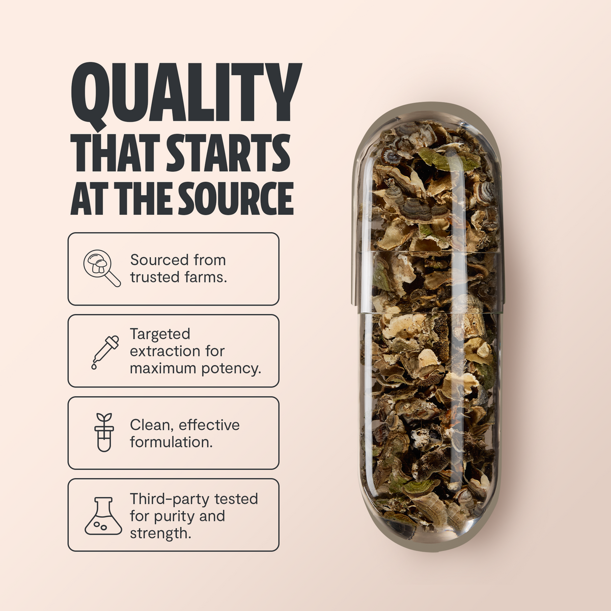 Organic Turkey Tail Capsules