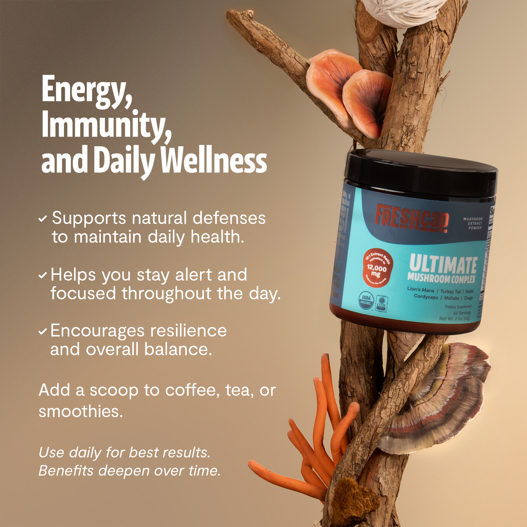 Six Mushroom Daily Blend