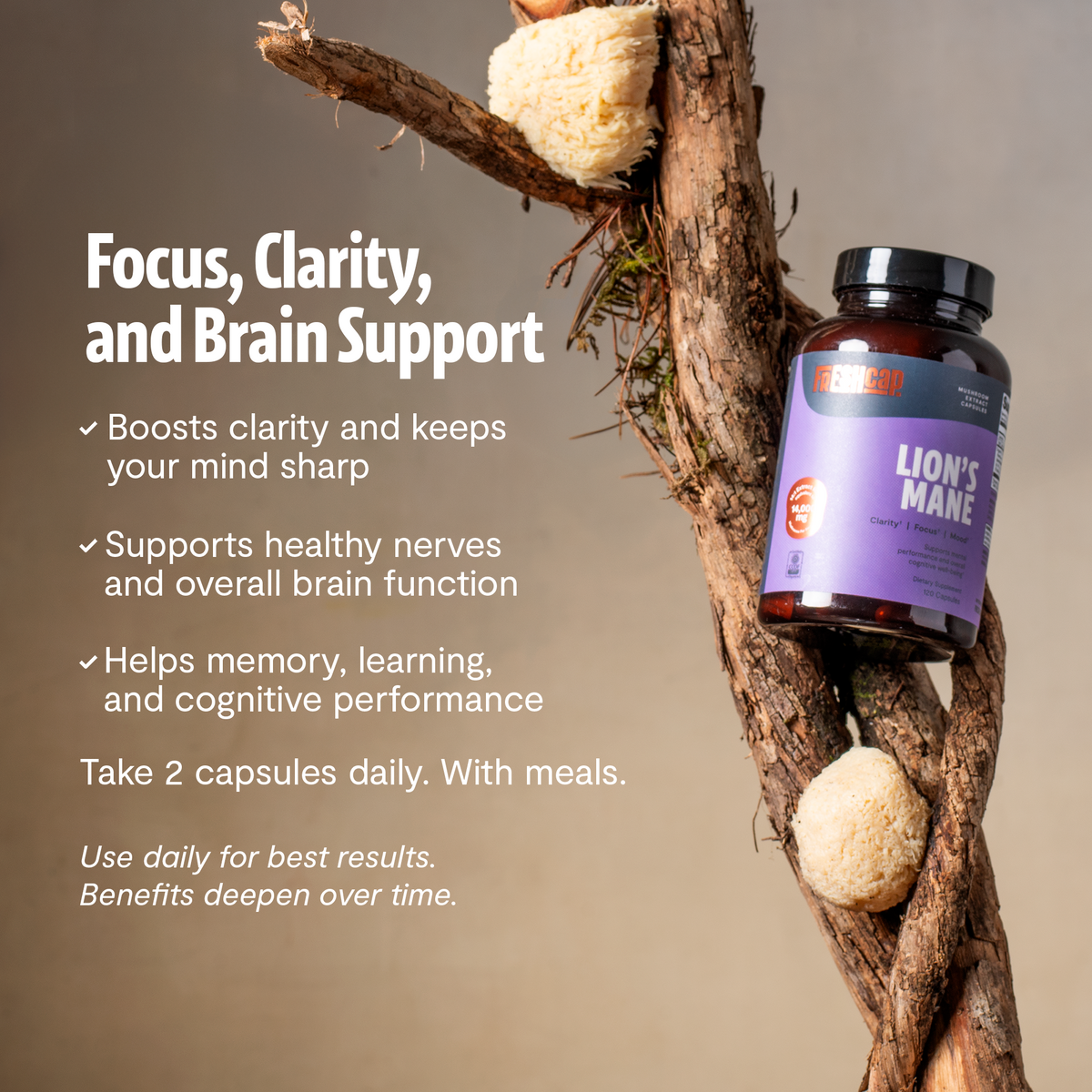 Organic Lion's Mane Capsules