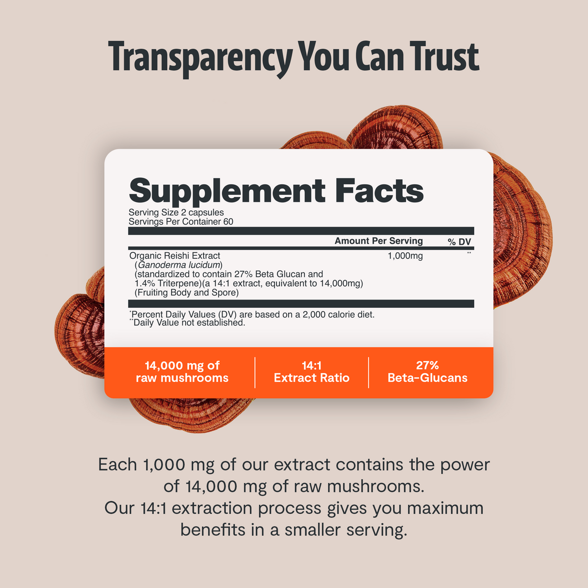 Organic Reishi Capsules