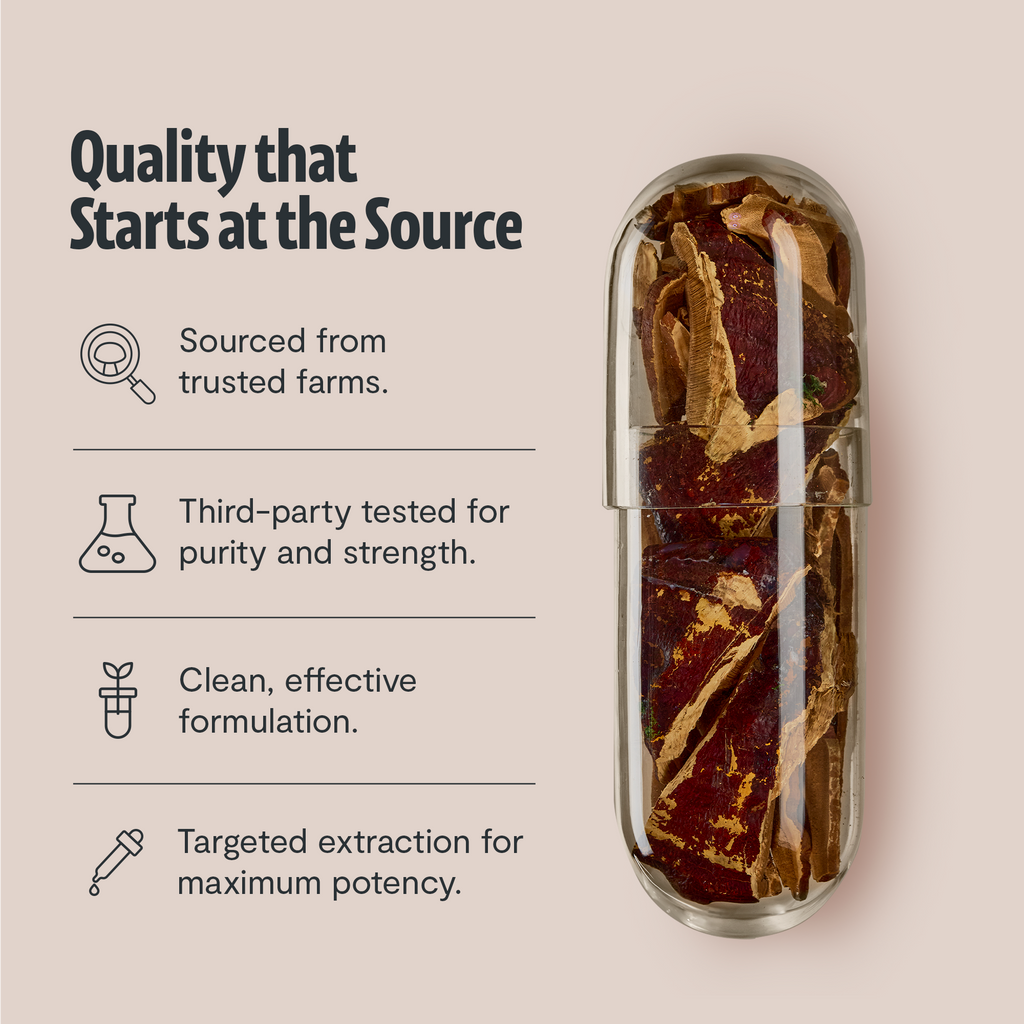 Organic Reishi Capsules