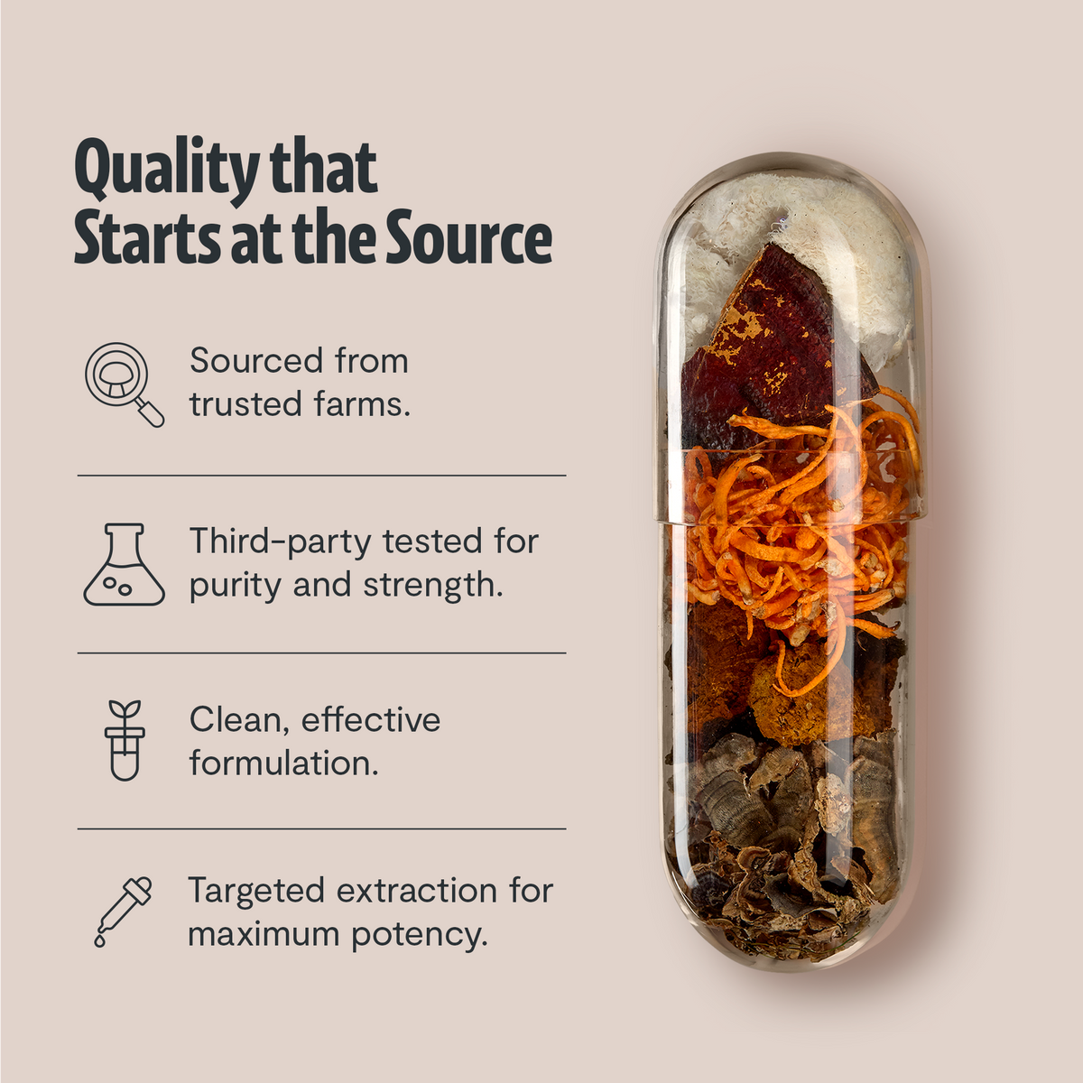 Organic Mushroom Complex Capsules