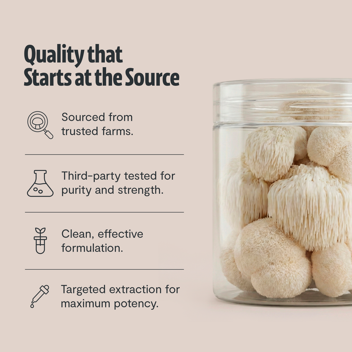 Organic Mushroom Complex Capsules