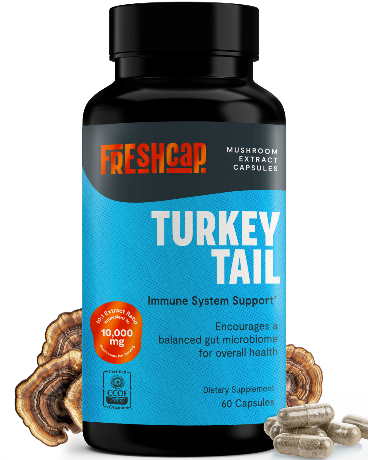 Organic Turkey Tail Capsules