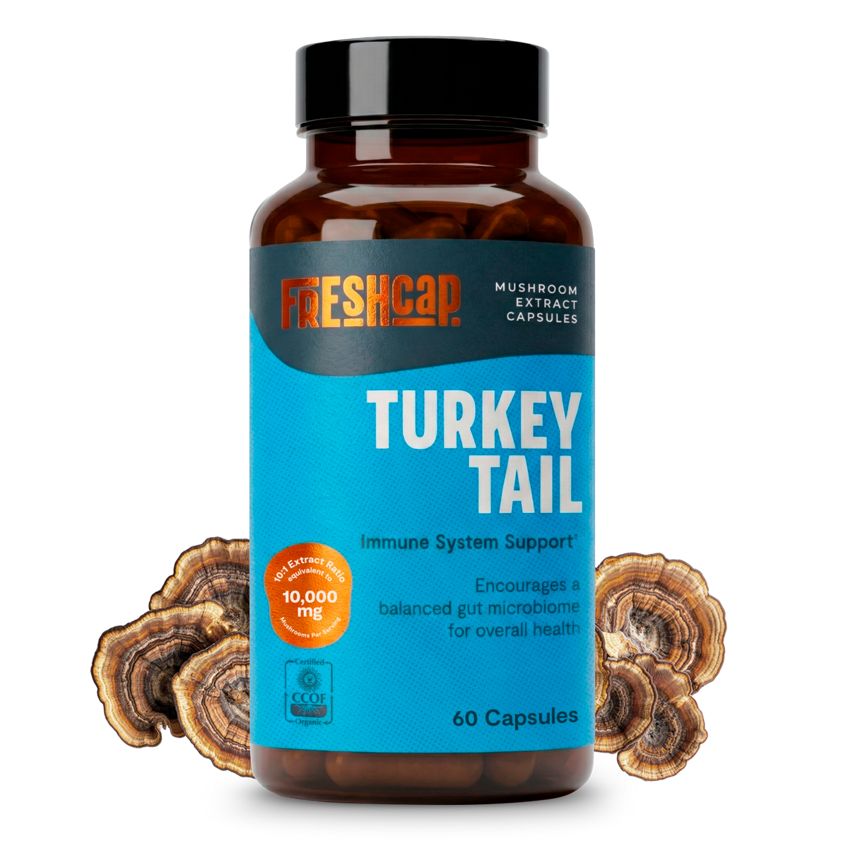 Organic Turkey Tail Capsules