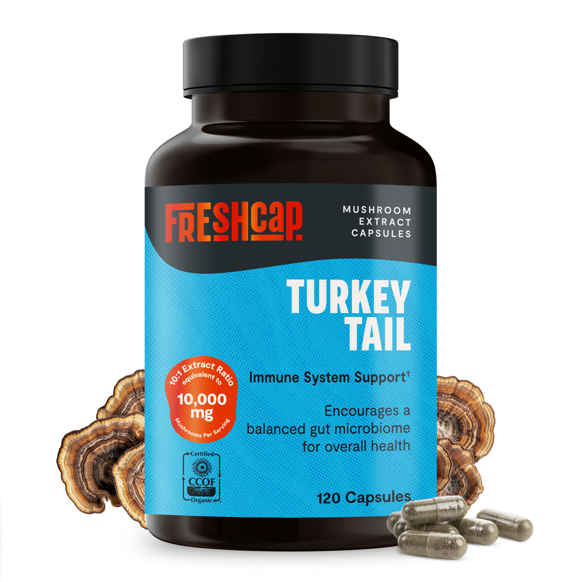 Organic Turkey Tail Capsules